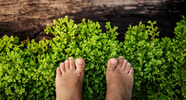 Crianças Com Conceito Natureza Crianças Pés Grama Verde Natural Parque — Fotografia de Stock