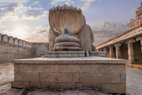 Змей Защищающий Шива Лингу Храме Липакши Прадеш — стоковое фото