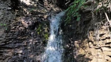 Yazın derin bir ormanda şelale