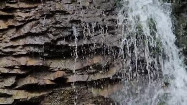 Wasserfall in einem tiefen Wald im Sommer — Stockvideo