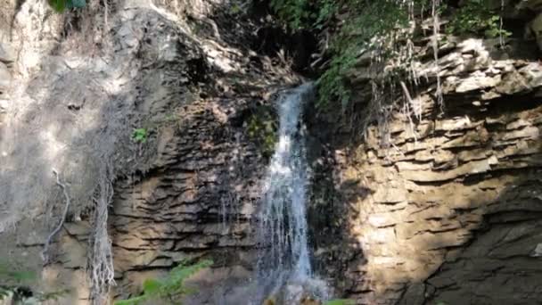 Waterval in een diep bos in de zomer — Stockvideo