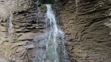 Yaz günü, ormandaki şelale