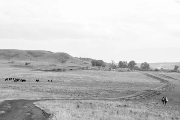 Δύο νεαρά κορίτσια μικρές φιγούρες με σακίδια σε έναν αγροτικό δρόμο. Βοσκότοπος αλόγων με φοράδα και πουλάρι. Μικρό χωριό με παλιά σπίτια. Καλοκαιρινό τοπίο με πράσινους λόφους. Μαύρη και λευκή φωτογραφία — Φωτογραφία Αρχείου