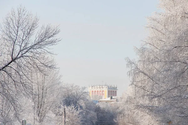 Zasněžená ulice v malém městečku se stromy v zimě — Stock fotografie