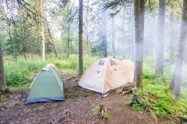 Kamp ve çadır altında çam ormanı Sunrise