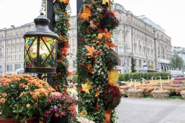 Festivalde sonbahar açık süslemeleri. Akçaağaç yaprakları, çiçekler ve alıç meyveleri ile Turuncu kabak ve retro sahte fener
