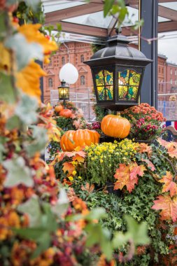 Sonbahar sokak dekorasyon arka plan. Hasat konsepti