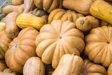 Arka plan farklı kabaklar ile dolu. Sonbahar açık dekorasyon