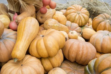 Çiftçi pazarında saman üzerinde birçok kabak. Şükran Günü ve hasat kavramı