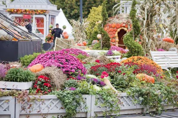 Kabak ile sonbahar fuarında güzel parterre. Pazar yerinde Sonbahar dekorasyon