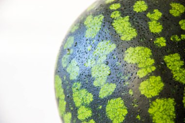 Su damlaları ile olgun karpuz rind yakın çekim.