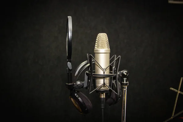 Müzik ekipmanları. Stüdyoda profesyonel kondansatör mikrofonu. Yandan yukarı yakın