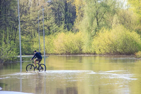Велосипедист пытается ездить на велосипеде во время наводнения весной. асфальтовая дорога под водой, когда река поднималась — стоковое фото