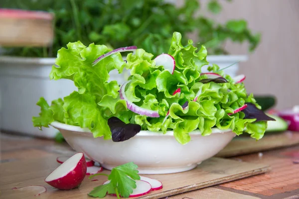 Salat zu Hause mit Rettich, Salat, roten Zwiebeln und Basilikumblättern zubereiten. Ernährung vegetarisch, Urban Gardening Ernährungskonzept — Stockfoto