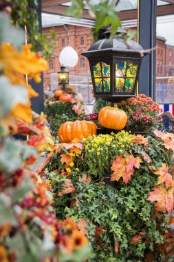 Sonbahar sokak dekorasyon arka plan. Hasat konsepti