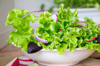 Turp, marul, kırmızı soğan ve fesleğen yaprakları ile salata hazırlanıyor. Diyet veya vejetaryen gıda kavramı