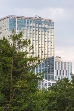 Parkta dökmeyen iğne yapraklı çam ormanı arasında yüksek katlı ofis binası.