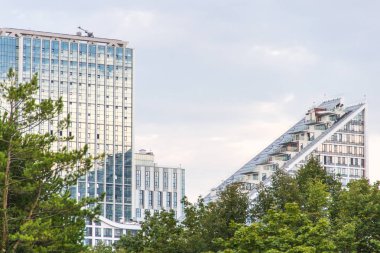 Parkta dökmeyen iğne yapraklı çam ormanı arasında yüksek katlı ofis binası.