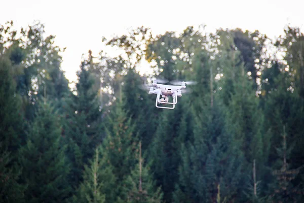 一架白色无人机在公园上空与黑杉树飞过的镜头。人剪影和森林模糊 — 图库照片