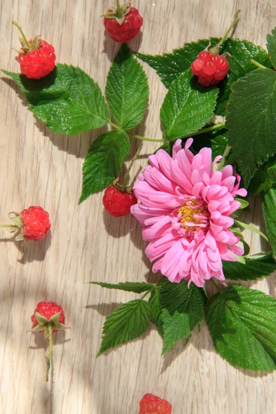 Pink flower and red raspberry on light wood