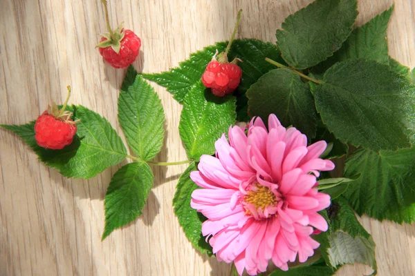 Big pink flower, raspberries and green leaves on the wooden background