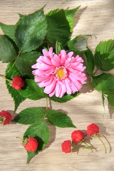 Big pink flower, raspberries and green leaves on the wooden background