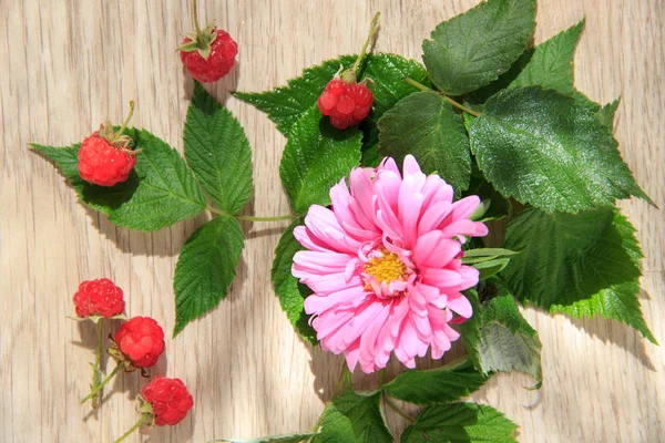 Big pink flower, raspberries and green leaves on the wooden background — Stock Photo, Image