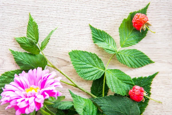 Big pink flower, raspberries and green leaves on the wood