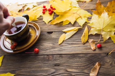 Sarı ve turuncu düşmüş akçaağaç ahşap arka plan üzerinde yaprakları.