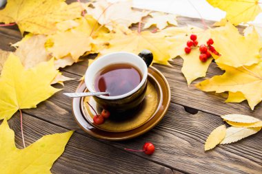 Sarı ve turuncu düşmüş akçaağaç ahşap arka plan üzerinde yaprakları.