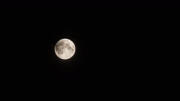 Volle maan grijs in de nachtelijke hemel — Stockvideo