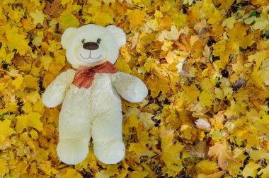 Sonbahar yaprakları içinde oturan bir oyuncak ayı
