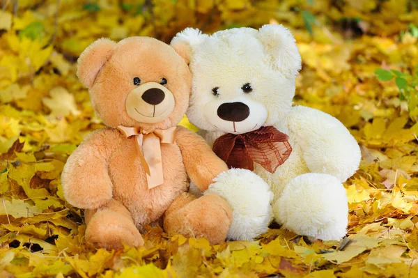 Deux ours en peluche assis dans les feuilles d'automne — Photo