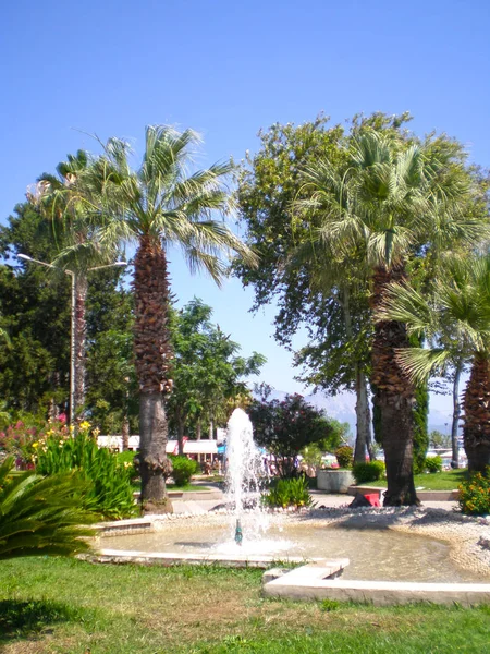 Palmy Fontanną Pobliżu 155 Plaż Kemer Turcja — Zdjęcie stockowe