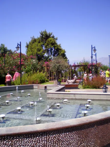 Fontaine Avec Arbre Miel Harnup Arrière Plan Dans Vieille Ville — Photo