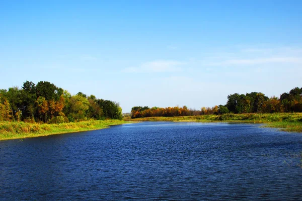Lagoa Parte Estepe Sul Ucrânia Região Zaporozhye Perto Aldeia Belyaevka — Fotografia de Stock