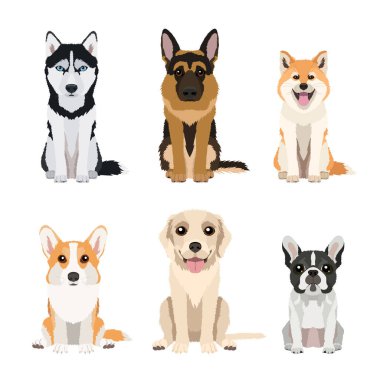 Farklı köpek cinsleri: Welsh corgi pembroke, Husky, labrador, German Shepherd, akita inu ve French bulldog. Beyaz arka planda izole edilmiş şirin çizimler. Tasarımınız için vektör koleksiyonu