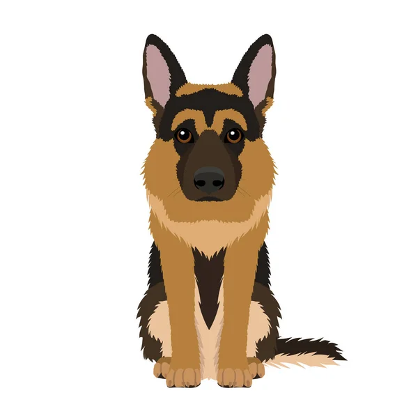 Vector Portrait German Shepherd Isolated White Background — Stock Vector