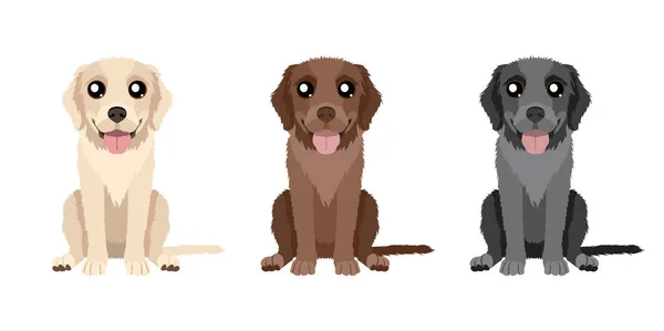 Série Illustrations Trois Récupérateurs Labrador Différentes Couleurs Isolés Sur Fond — Image vectorielle