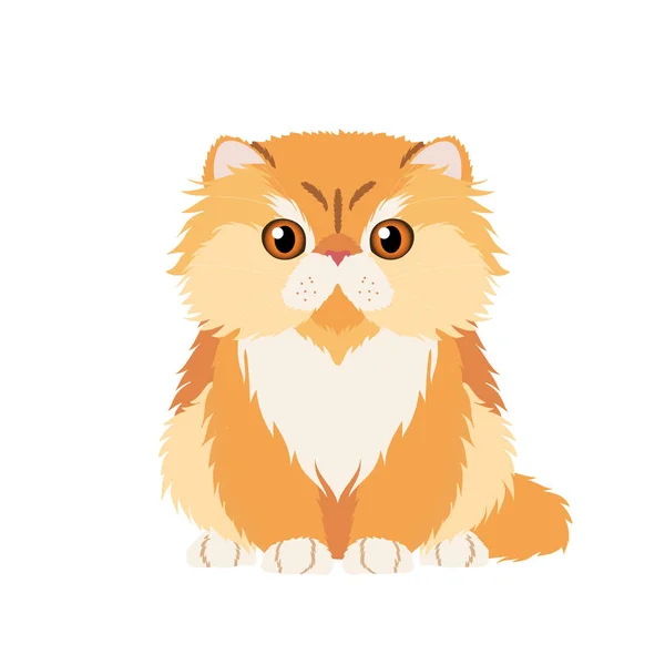 Vector Portrait Funny Red Persian Cat Isolated White Background — Stock Vector