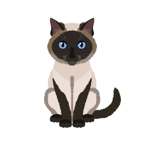 Vector Portrait Sitting Siamese Cat Illustration Isolated White Background — Stock Vector