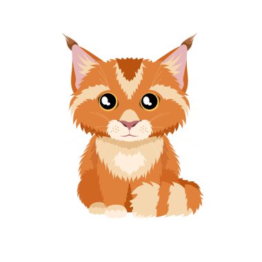 Beyaz arka planda izole edilmiş komik bir kırmızı rakun kedi yavrusunun vektör çizimi