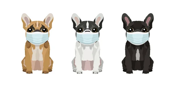 Cães Com Máscaras Médicas Conjunto Ilustrações Três Bulldogs Franceses Cores — Vetor de Stock