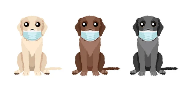 Perros Con Máscaras Médicas Conjunto Ilustraciones Tres Labradores Recuperadores Diferentes — Vector de stock
