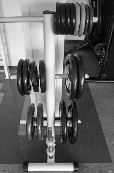 weights dumbbells gym equipment rack nobody  bodybuilder black white