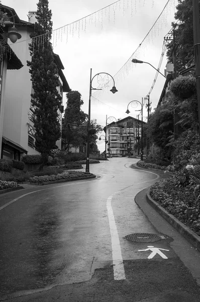 up hill street architecture curve  flowers cloudy  black white
