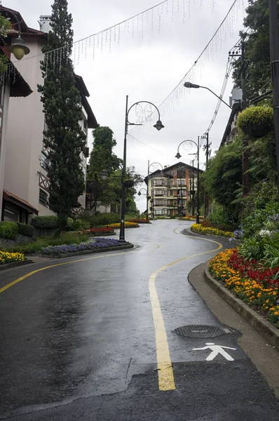 up hill street architecture curve  flowers cloudy