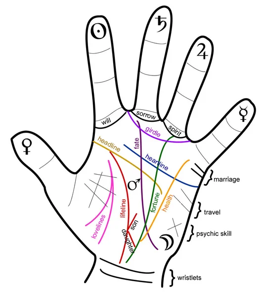 palmistry future hand reading fate palm fortune illustration