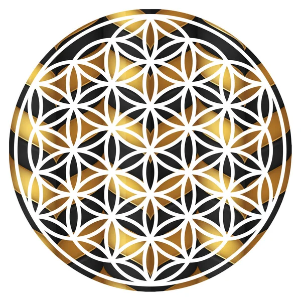 circles sacred symmetry esoteric energy structure golden illustration mandala