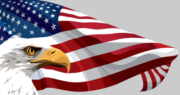 eagle animal usa america flag patriotic illustration